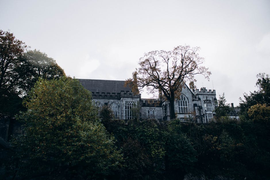 Community gathering illustrating family support outcomes